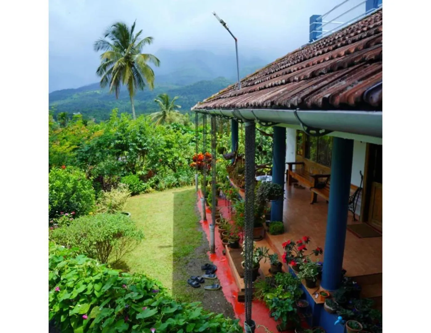 Camellia Premium Homestay Wayanad