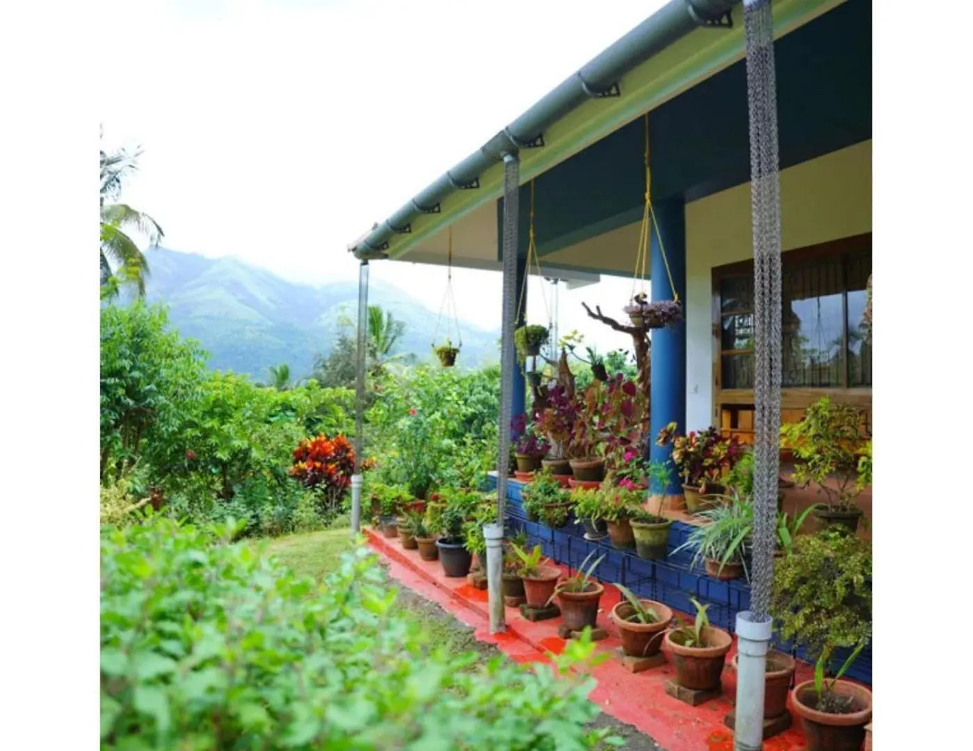 Camellia Premium Homestay Wayanad
