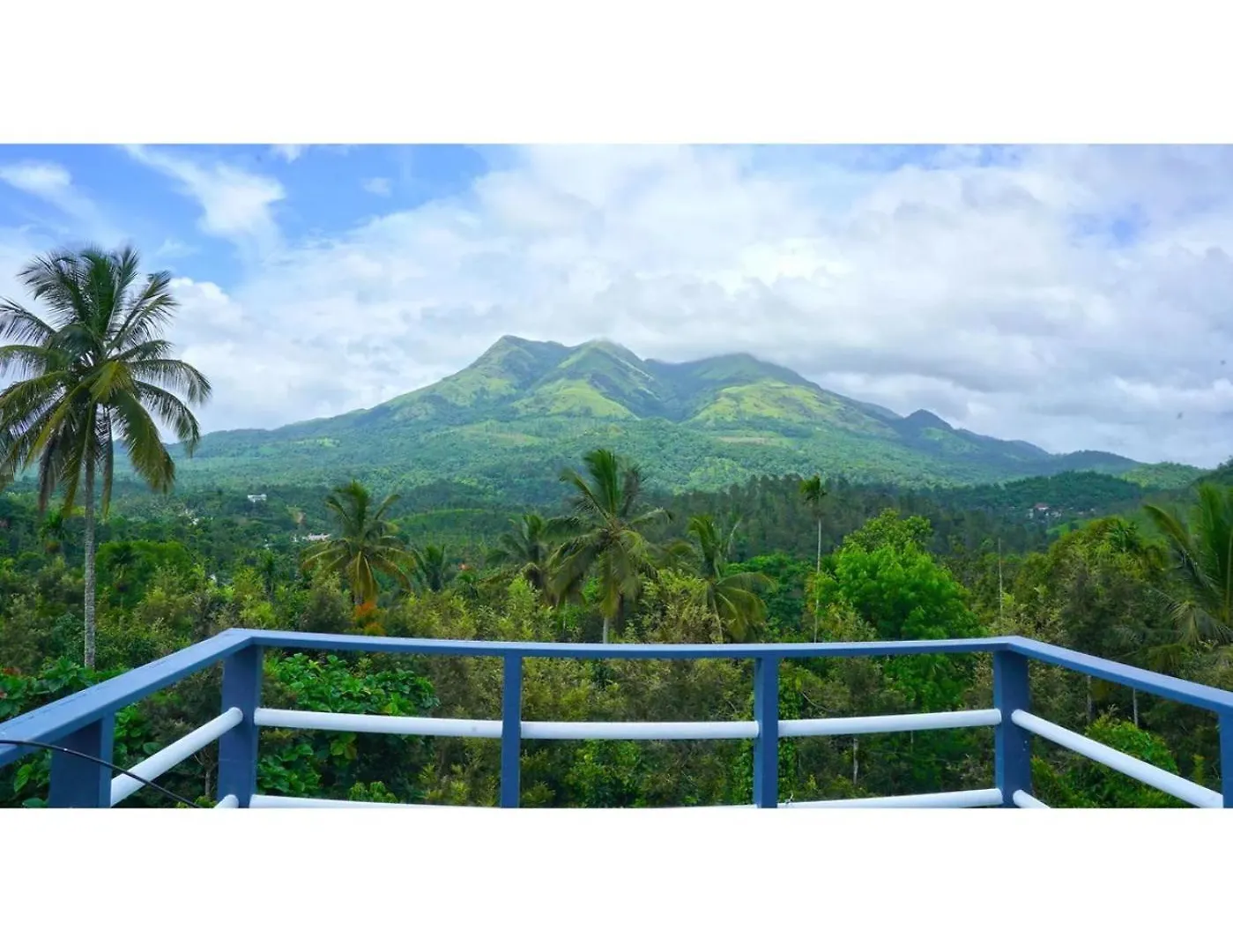 Camellia Premium Homestay Wayanad India