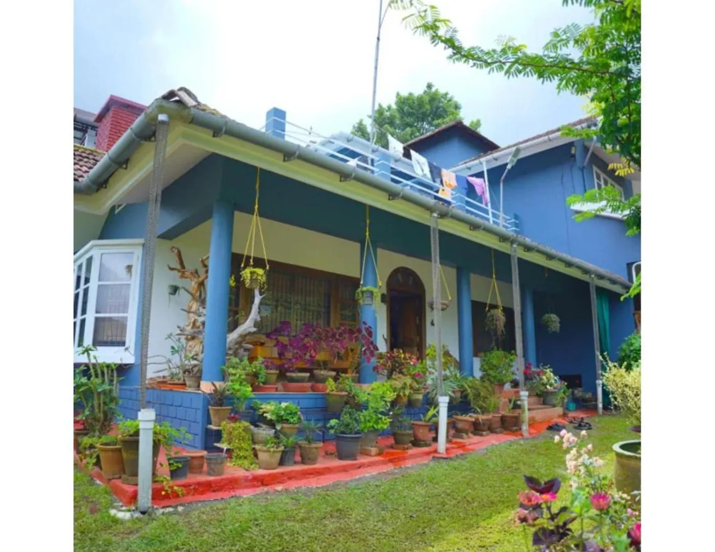 Camellia Premium Homestay Wayanad