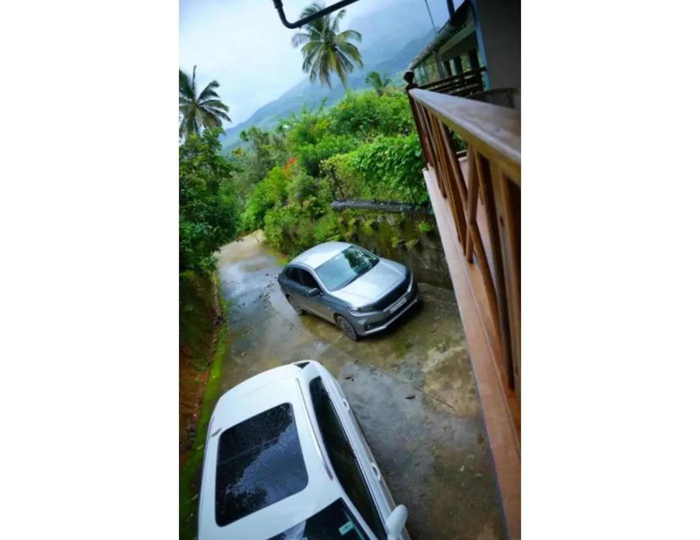 Camellia Premium Homestay Wayanad